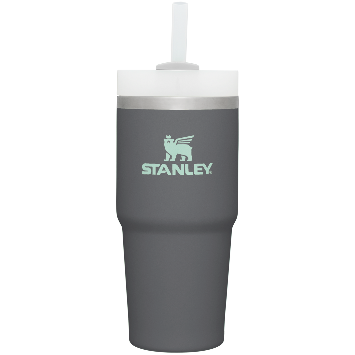 Insulated Travel The Quencher H2.0 Flowstate Tumbler  | Stanley Create D329E - Double-Wall Vacuum Insulated Travel Tumbler with Straw Detail