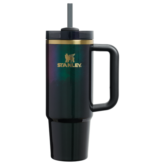 Insulated Travel The Wicked for Good Quencher H2.0 Flowstate Tumbler D246P - 40oz Large Capacity Car-Cup Friendly Quencher - Elphaba For Good